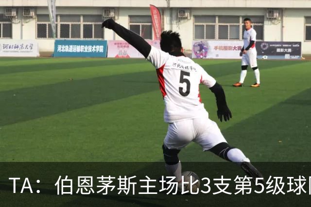 TA：伯恩茅斯主场比3支第5级球队还小，伊劳拉如今的压力远超从前